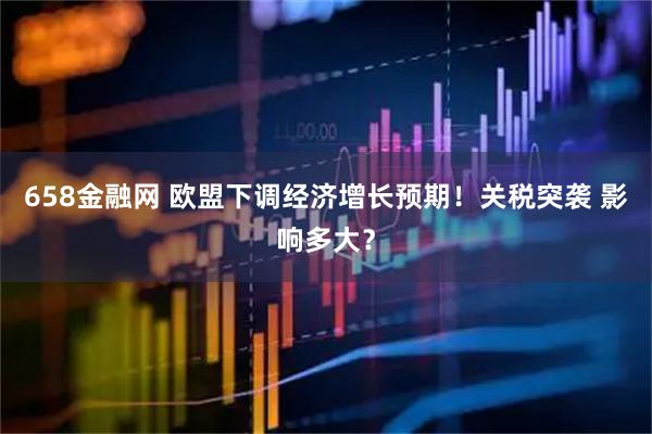 658金融网 欧盟下调经济增长预期！关税突袭 影响多大？