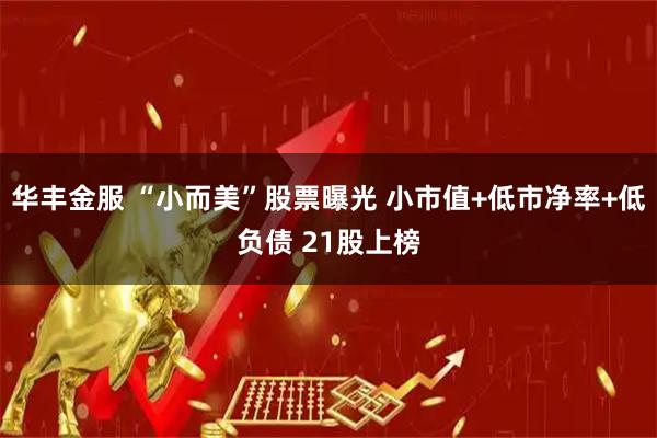 华丰金服 “小而美”股票曝光 小市值+低市净率+低负债 21股上榜