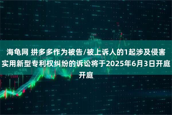 海龟网 拼多多作为被告/被上诉人的1起涉及侵害实用新型专利权纠纷的诉讼将于2025年6月3日开庭