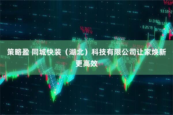 策略盈 同城快装（湖北）科技有限公司让家焕新更高效